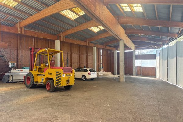 Edited in Tezza with: Brightness, Highlights, & HSL